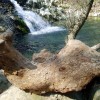 2007.04.01. - Samothraki